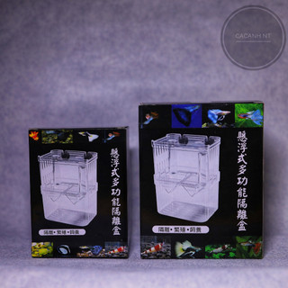 Hộp cá đẻ , Lồng đẻ guppy , lồng dưỡng cá