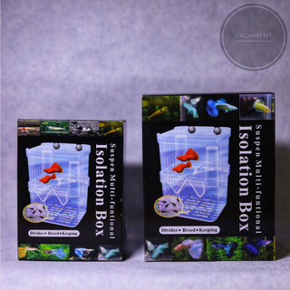 Hộp cá đẻ , Lồng đẻ guppy , lồng dưỡng cá