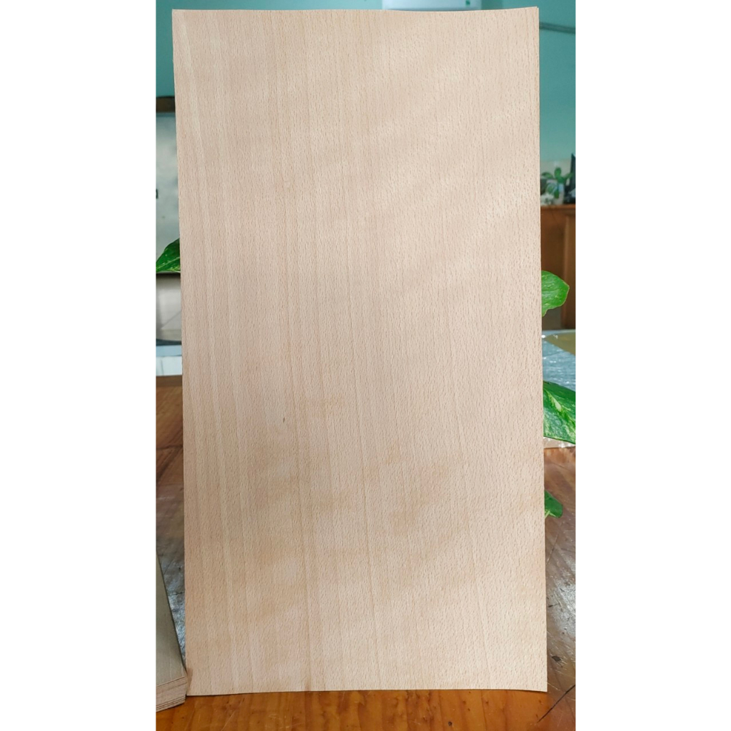 Combo 6 tấm ván lạng Beech vân sọc dày 0.6mm dùng dán thùng loa, tranh mỹ thuật, thủ công mỹ nghệ.