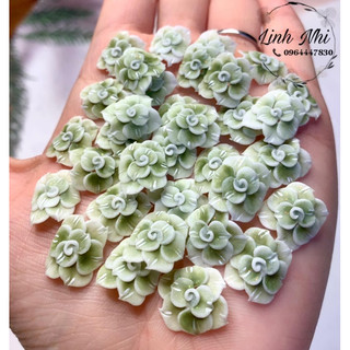 hoa bột nail hoa chân