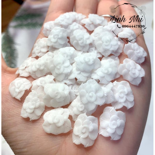hoa bột nail hoa chân