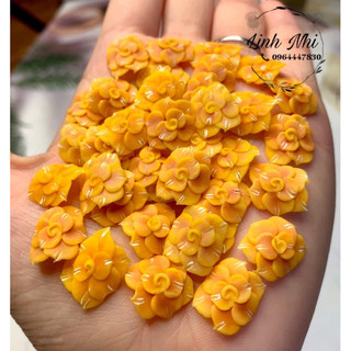 hoa bột nail hoa chân