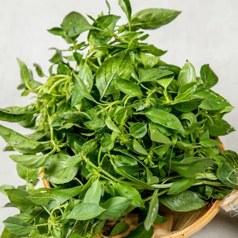 2000 HẠT GIỐNG LÁ É THÁI LAN_ Date mới nảy 95%