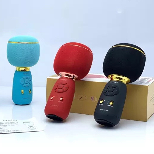 Micro dạy học kèm loa bluetooth GrownTech WS 1885 bảo hành 24 tháng