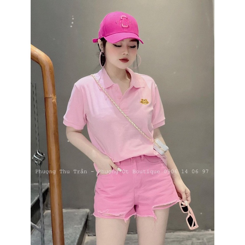 Áo POLO nữ cá sấu trắng- hồng Đủ size S M L XL