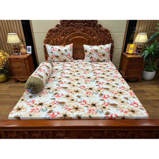 Bộ ga gối thun lạnh hàn quốc, drap thun lạnh hàn quốc