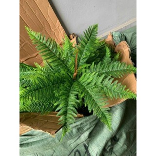 Cây Giả - Cụm Dương Xỉ Giả lá đẹp dài 45cm -65cm Trang Trí Nhà Cửa, Làm Tường Cỏ Nhân Tạo