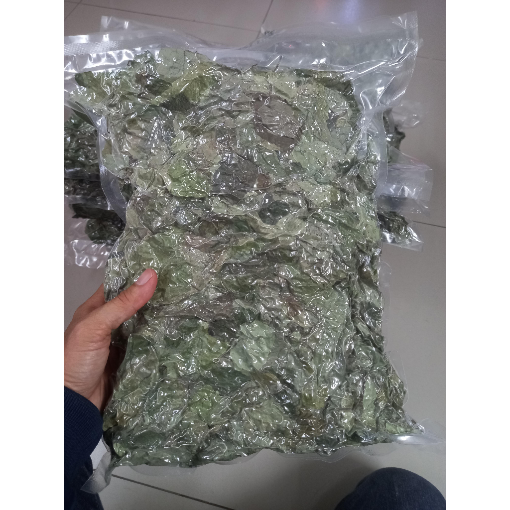 Lá sương sâm lông khô ,500g, có tặng nang mực