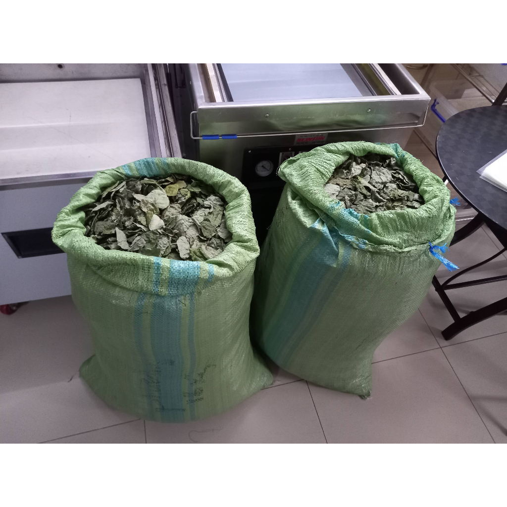 Lá sương sâm lông khô , 1kg , tặng nang mực, hút chân không