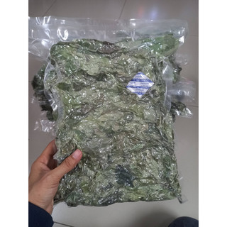 Lá sương sâm lông khô , 1kg , tặng nang mực, hút chân không