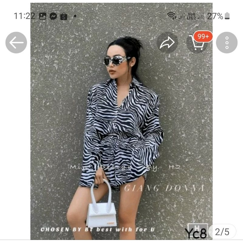 Thanh lý sét, đầm S