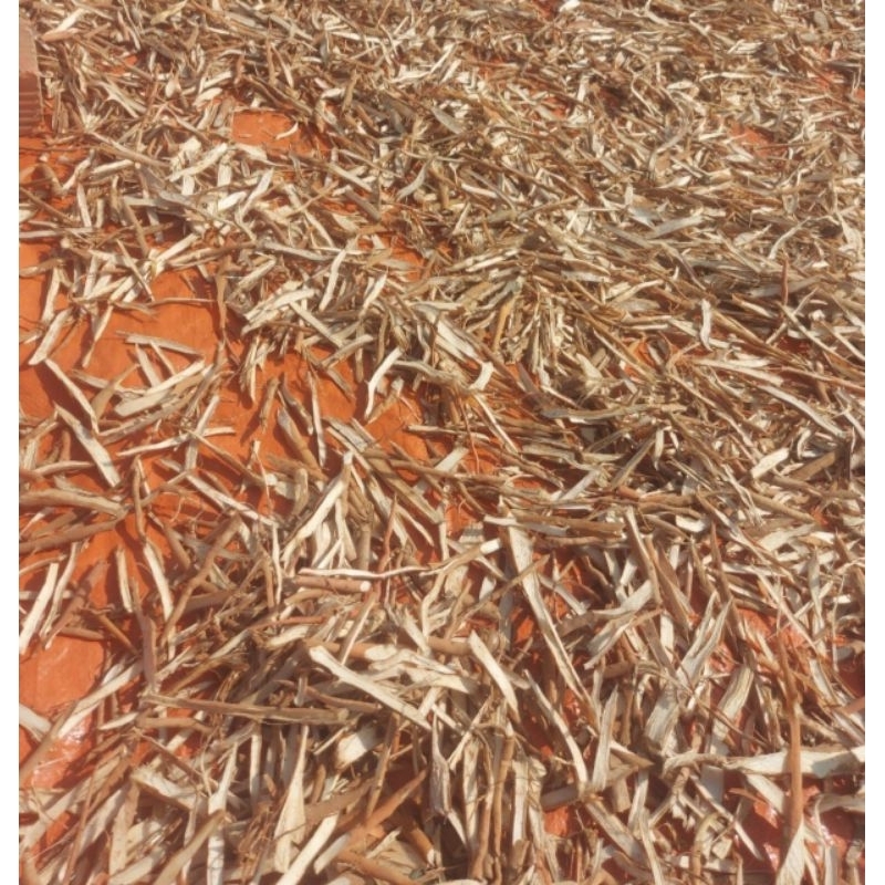 ☑️1kg SÂM CAU KHÔ NGÂM RƯỢ.U BỔ TH.ẬN TRÁNG DƯƠNG Sâm tiên mao hàng rừng sắt lát