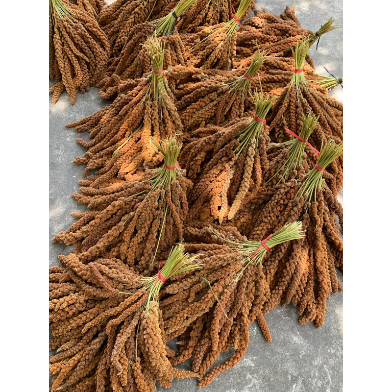 Kê chùm cho hamster, thỏ, sóc, vẹt và tắm cho bé gói 100g