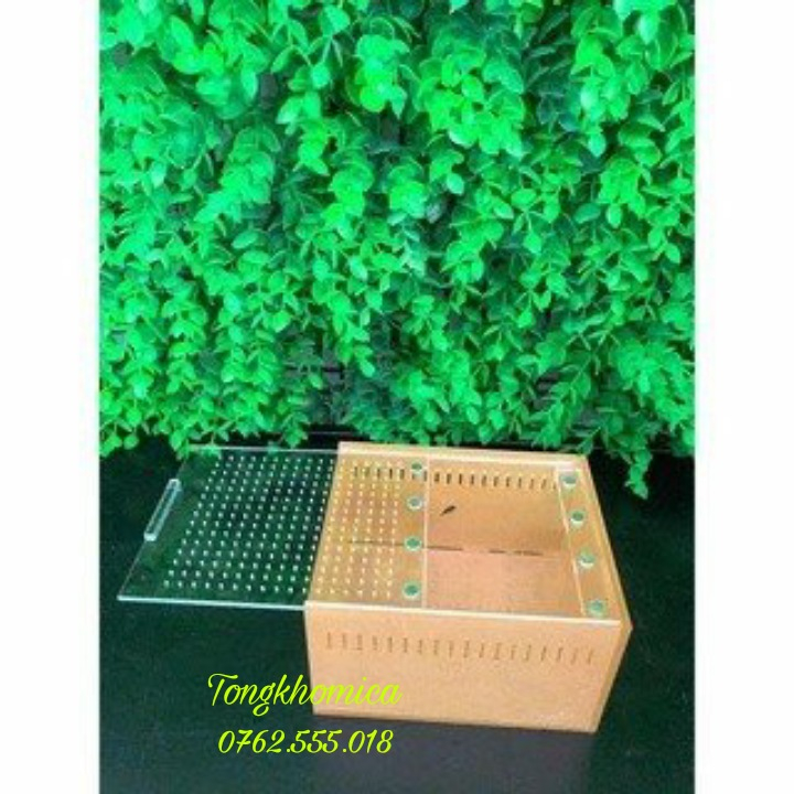 Hộp mica Nuôi Nhện,Bọ Cạp,Rết...tank nhện mica kích thước 10,5-8,5-6cm