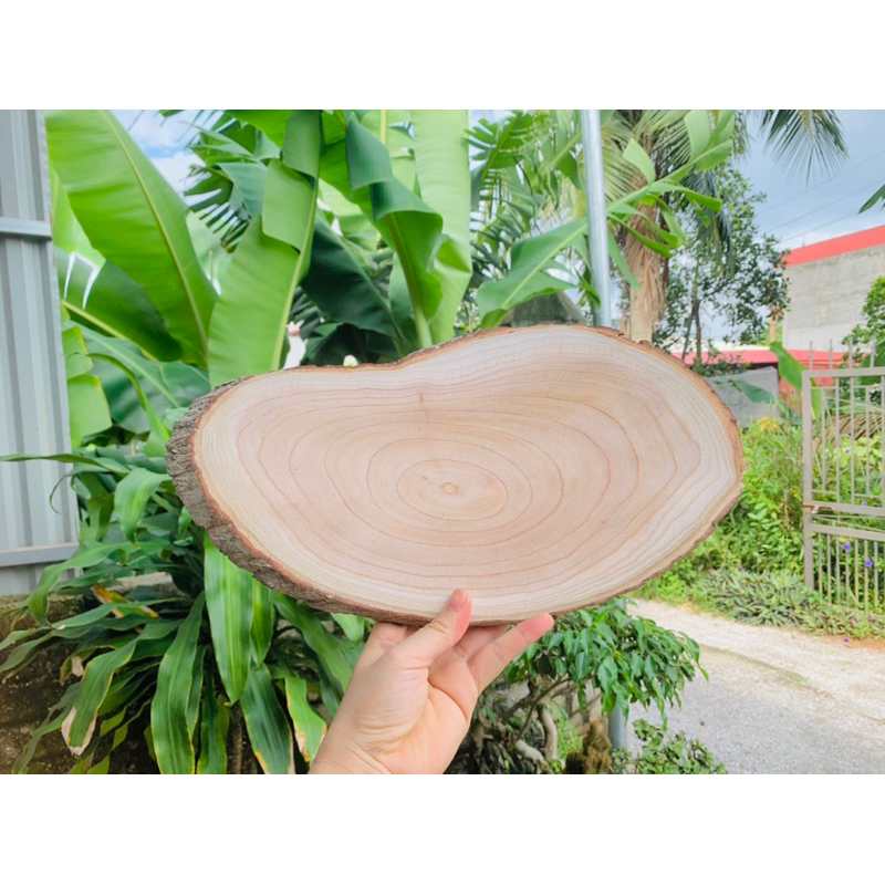 Khoanh gỗ vát ovan kích thước 35-40cm