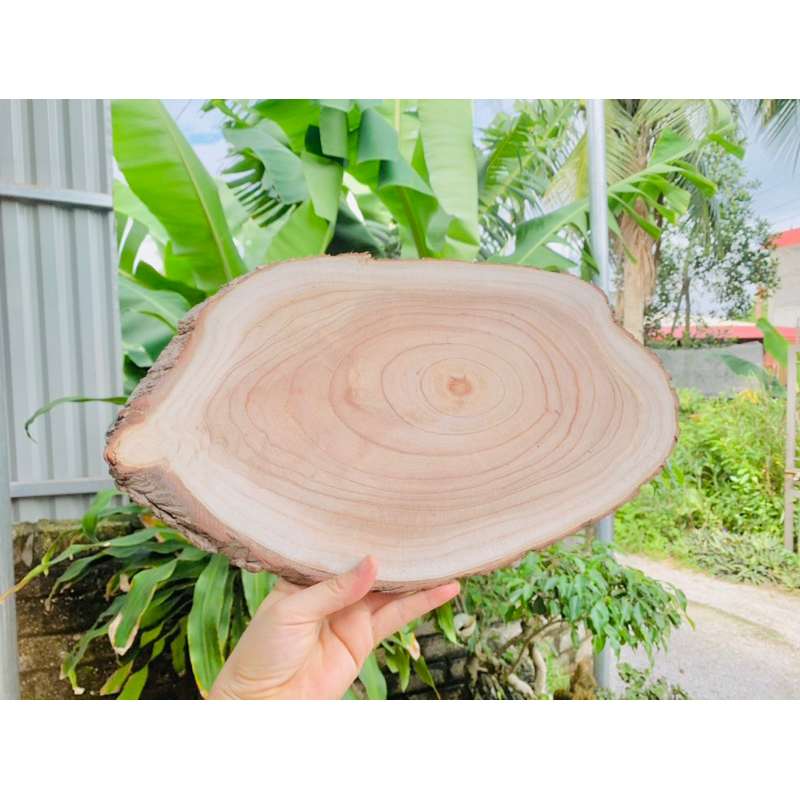 Khoanh gỗ vát ovan kích thước 35-40cm