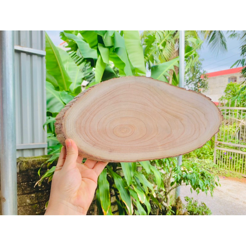 Khoanh gỗ vát ovan kích thước 35-40cm