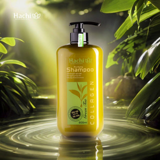 Dầu gội trà xanh cho tóc dầu Hachi Việt Nam GREEN TEA - Purifying shampoo