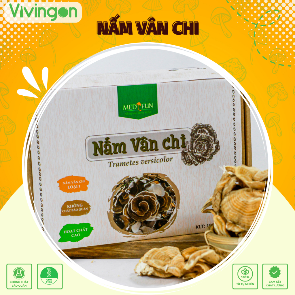 Nấm vân chi thượng hạng Việt Nam,Turkey tail, Chống ung thư, hộp100gr, Vivingon, Medifun