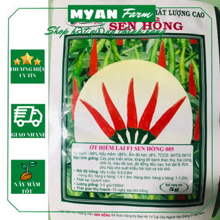 Hạt giống ớt f1 sen hồng gói 5g