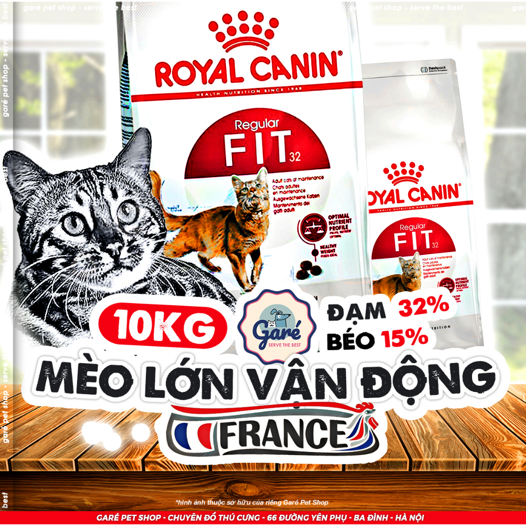 10kg Hạt mèo Fit 32 ROYAL CANIN mèo trưởng thành trên 12 tháng tuổi vận động thường xuyên nhập Pháp Garé Pet Shop