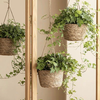 Giỏ cói treo tường, giỏ trồng cây treo tường, giỏ cắm hoa