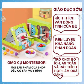 Đồ chơi gắp gỗ gắp hạt gỗ montessori luyện tay khéo léo
