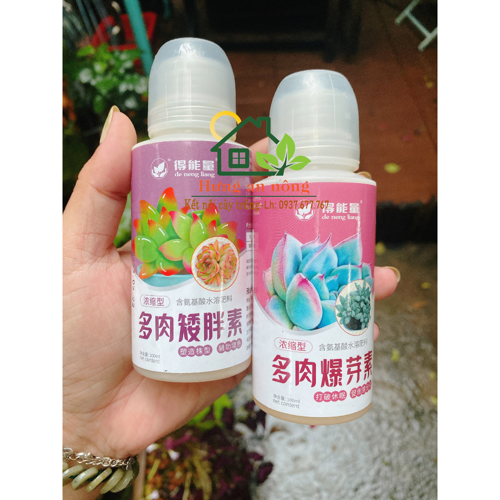 Chai 100ml - Phân bón Tăng màu sắc, da sáng, kiểm soát thân dài, phát triển chiều ngang thân dầy và lá đầy đủ