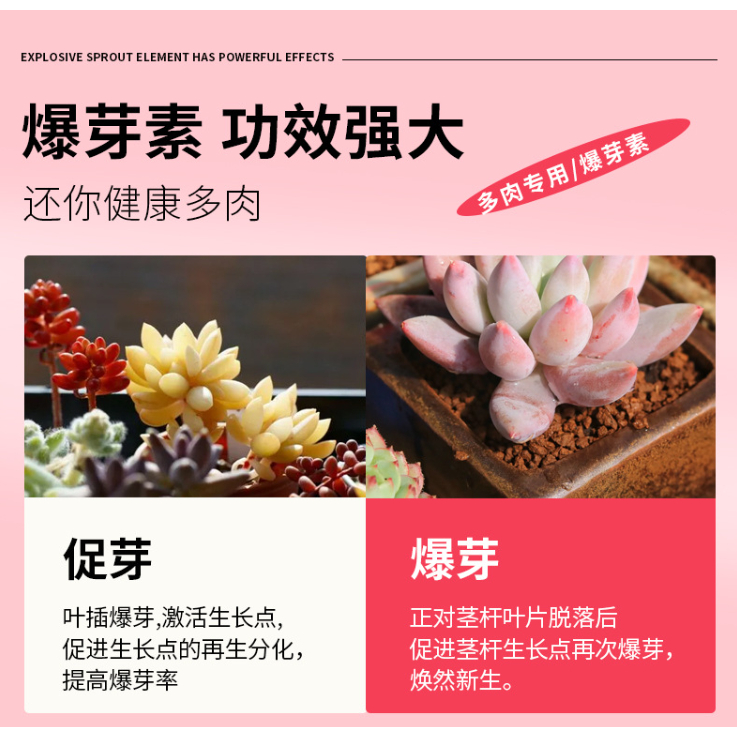 Chai 100ml - Phân bón Tăng màu sắc, da sáng, kiểm soát thân dài, phát triển chiều ngang thân dầy và lá đầy đủ