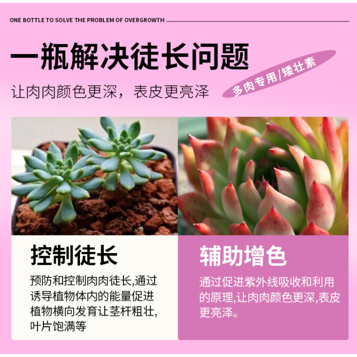 Chai 100ml - Phân bón Tăng màu sắc, da sáng, kiểm soát thân dài, phát triển chiều ngang thân dầy và lá đầy đủ