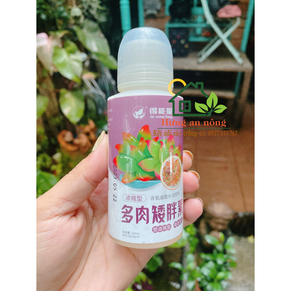 Chai 100ml - Phân bón Tăng màu sắc, da sáng, kiểm soát thân dài, phát triển chiều ngang thân dầy và lá đầy đủ