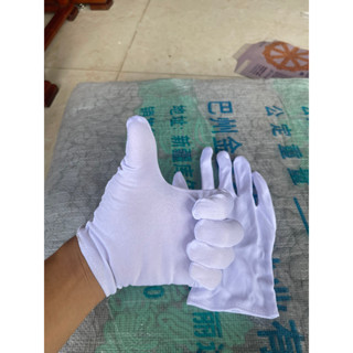 ( 10 ĐÔI - Hỏa  Tốc - SÀI GÒN  ) - Găng tay thun Cotton màu trắng dùng cho duyệt binh, bán hàng, khai trương, khởi công.