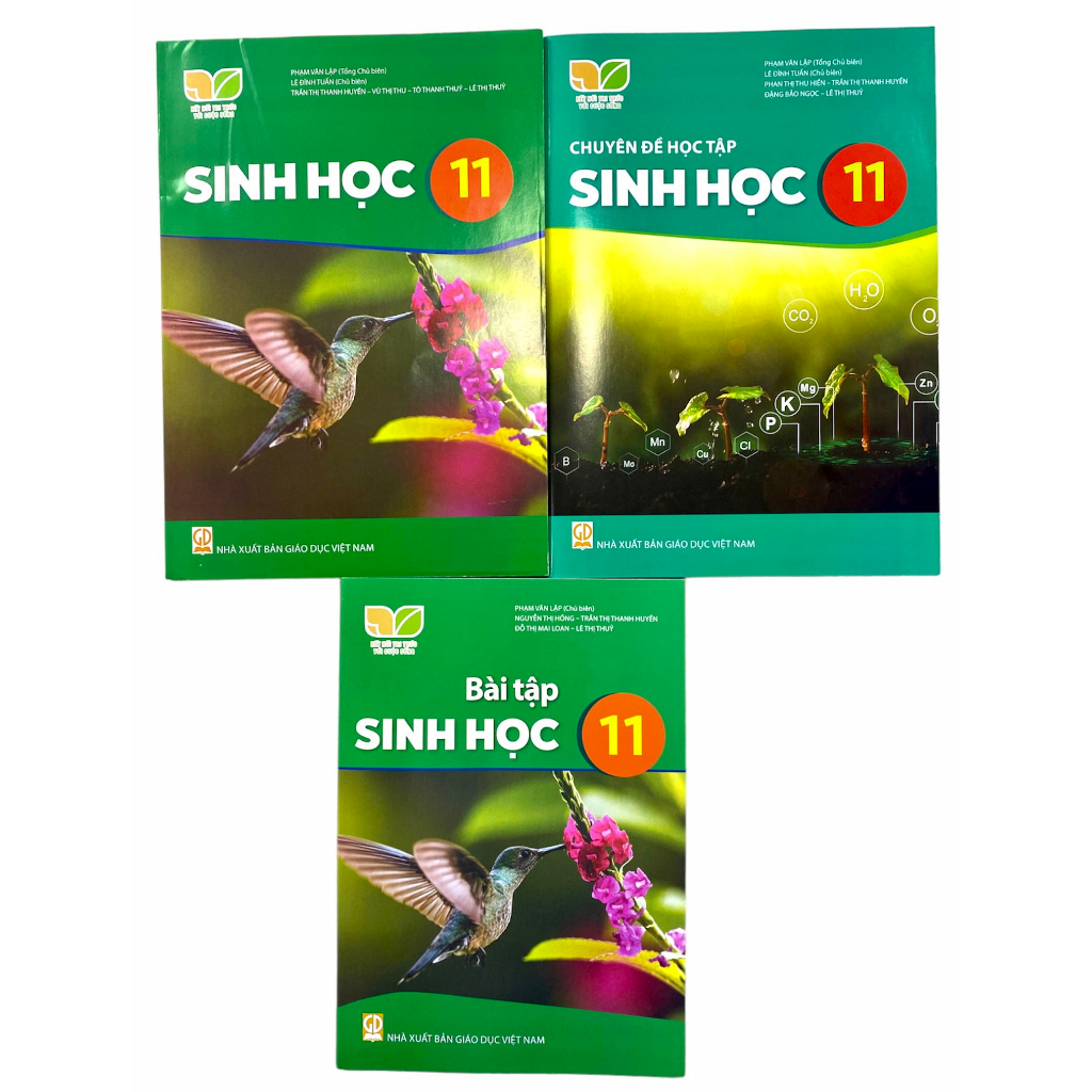 Sách - Combo 3 cuốn Sinh học lớp 11 (Kết nối tri thức với cuộc sống)