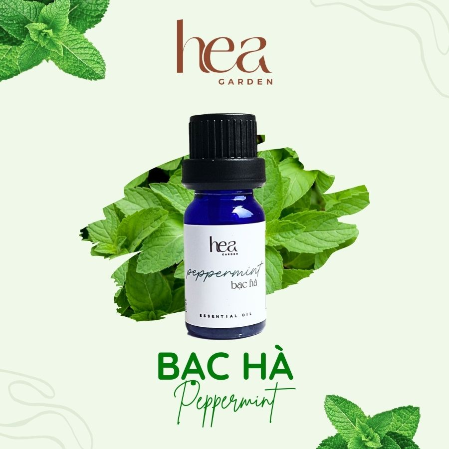 Tinh Dầu Thiên Nhiên Hea Oil 10Ml - Có Kiểm Nghiệm Coa - Bạc Hà