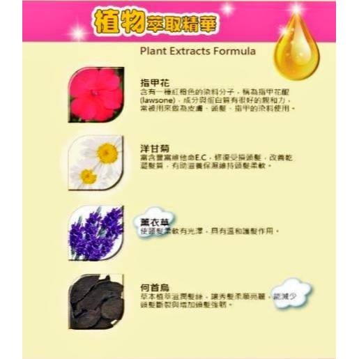 Dầu gội thuốc nhuộm dành cho tóc bạc Dream 17 Perfect Dye