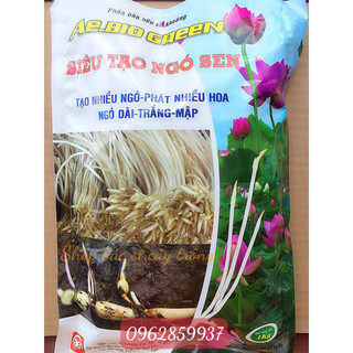 1 kg phân bón hữu cơ khoáng giúp tạo ra nhiều ngó sen, phát nhiều hoa, ngó dài, trắng, mập