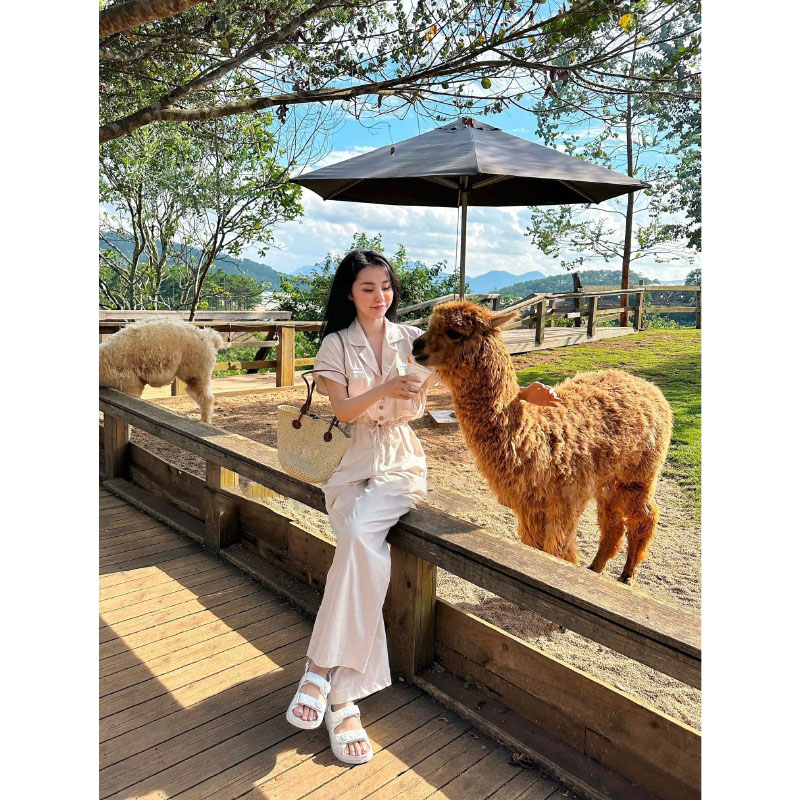 Jumpsuit Cổ Vest Dáng Dài Cộc Tay Dây Rút Eo Sang Chảnh JS0035 - Yamy888 | BigBuy360 - bigbuy360.vn