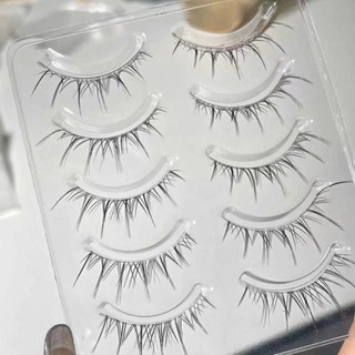 XIXI - Mi giả False Eyelashes 5 cặp