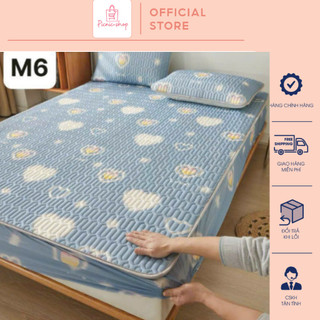 Chiếu điều hòa cao su non bo chun mẫu mới - tặng kèm 2 vỏ gối