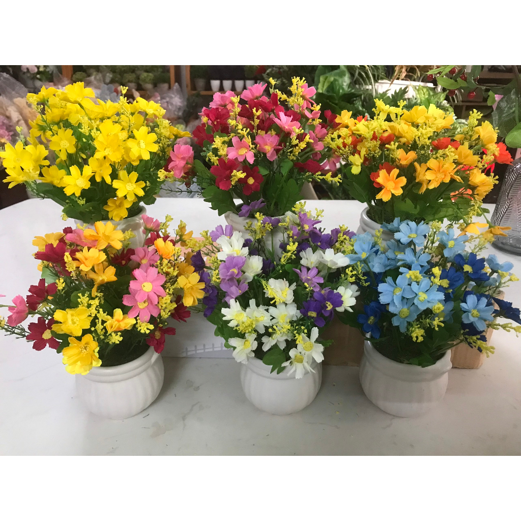 Chậu hoa họa mi để bàn học, bàn làm việc, bàn cafe, nhỏ gọn xinh xắn- Kèm chậu sứ. Hoa Giả Trang Trí