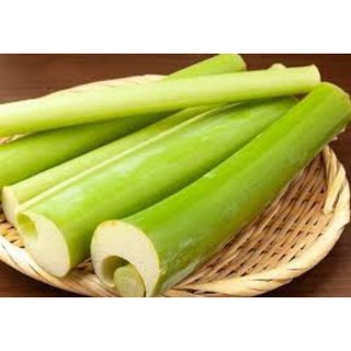 1 bầu Cây bạc hà hay Cây dọc mùng