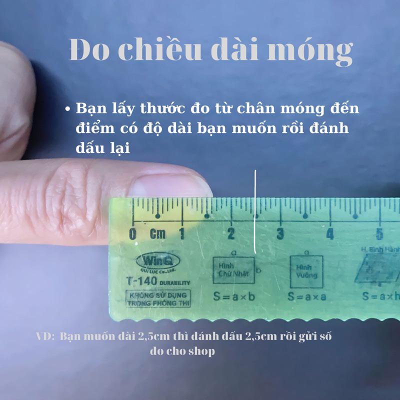 ANNAELSA Nail Box Thiết Kế -Móng Úp Mẫu Vẽ Hoa Xinh B026