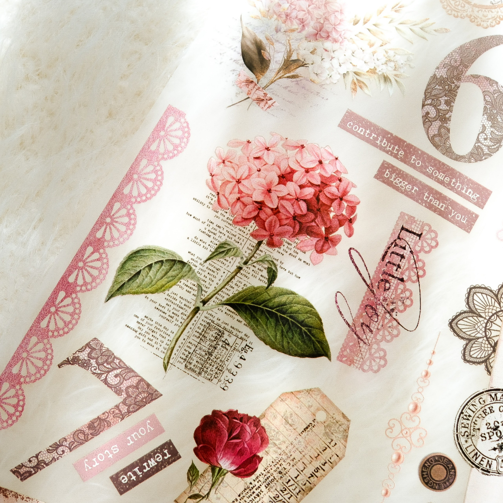 Băng keo Pet tape hoa hồng Pink Blush chiết lẻ 200cm Journal Pages | meohime198