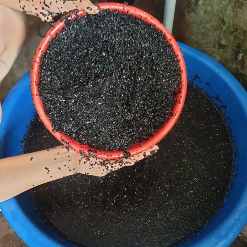 Mè đen(vừng) quê chuẩn sạch 500gr