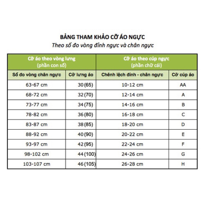 Áo ngực bigsize hoạ tiết lá xinh size 34C cup to