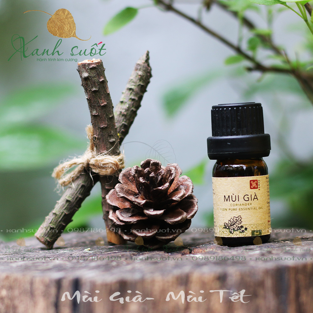 Tinh dầu Mùi Già nguyên chất 5ml- Mùi Của Tết, Ấm Áp, Thân Thuộc- Coriander Essential Oil 5ml [Xanh Suốt]