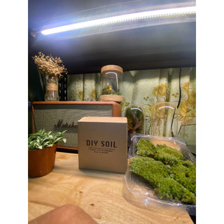 Đất kết dính, đất terrarium làm tường rêu hộp nén 1000ml