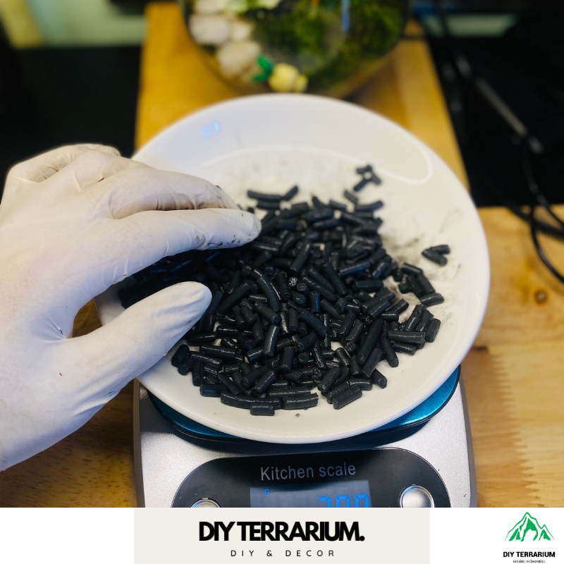 Than Hoạt Tính Lót Nền Khử Nấm Mốc Và Khử Khuẩn Bình Terrarium - 500gr