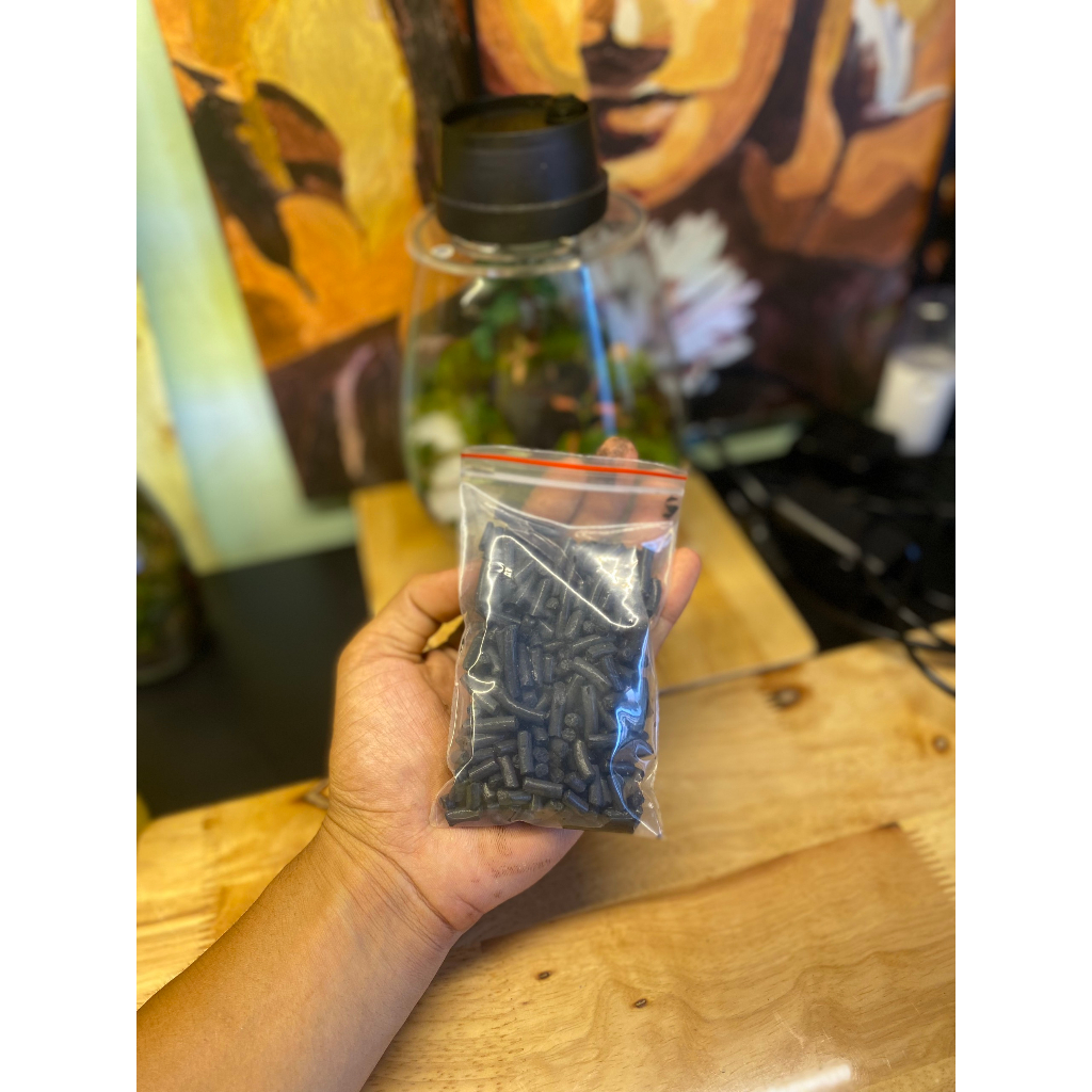 Than Hoạt Tính Lót Nền Khử Nấm Mốc Và Khử Khuẩn Bình Terrarium - 500gr