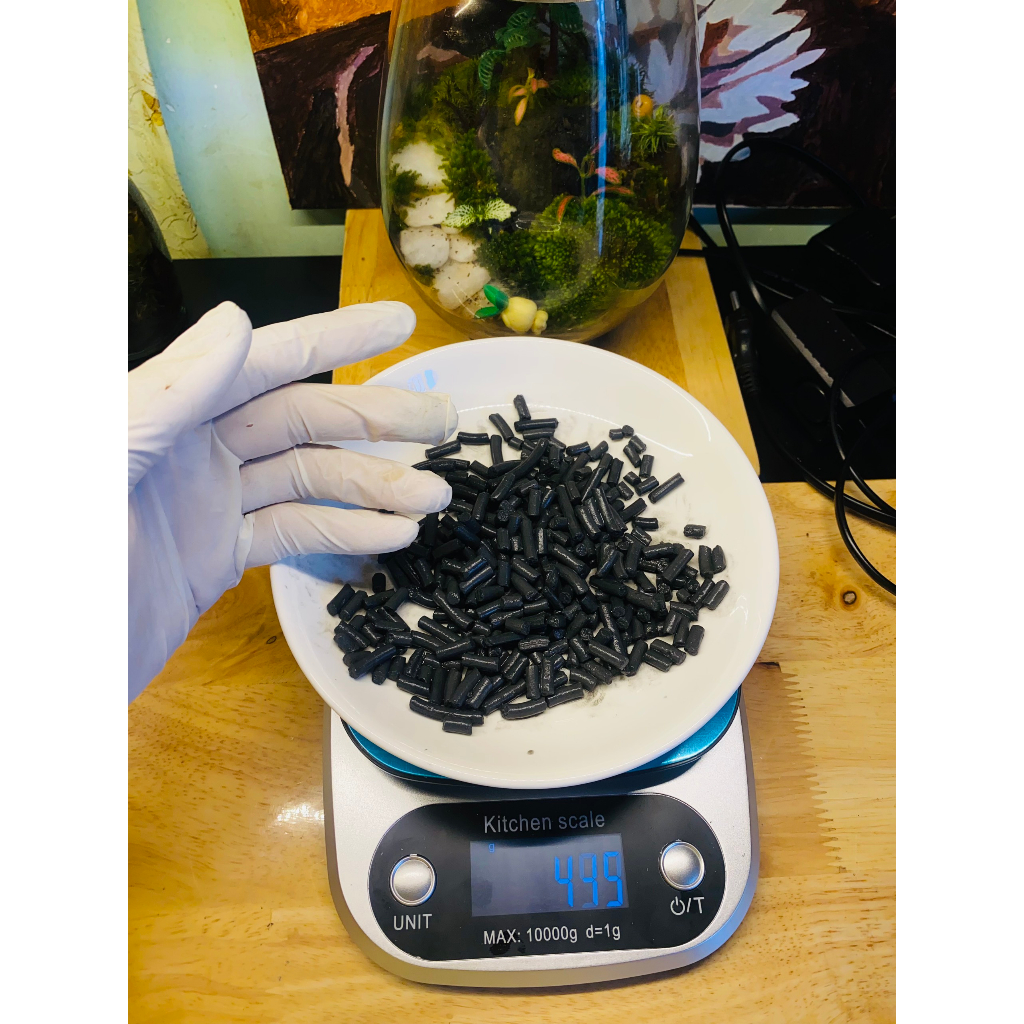 Than Hoạt Tính Lót Nền Khử Nấm Mốc Và Khử Khuẩn Bình Terrarium - 500gr